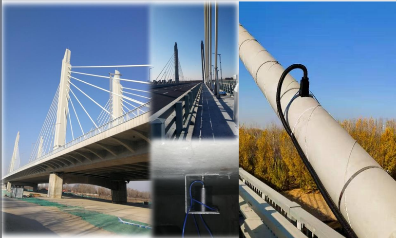 Cable-stayed bridge and field sensor reference